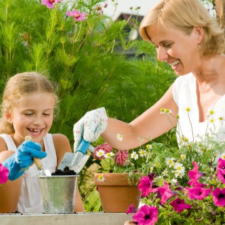 Mom and daughter working in garden together to pot pink flowers.