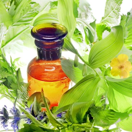 Glass vial of homeopathic medicine that is surrounded by foliage.