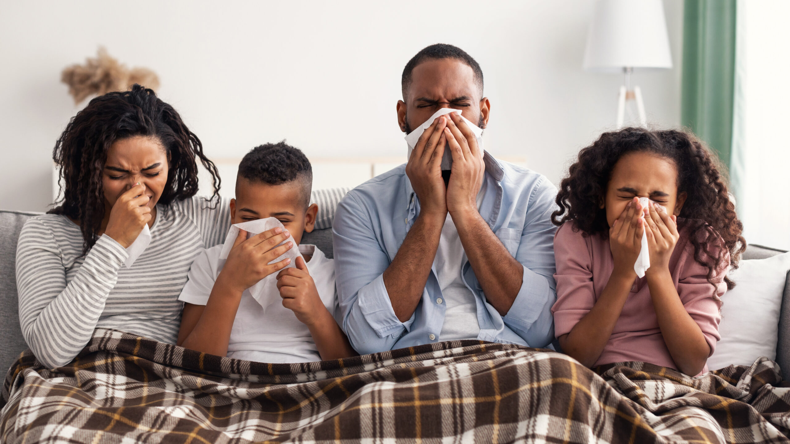 Portrait of sick young black family of four people blowing runny noses while sitting together on the sofa with napkins and covered with blanket. African American parents and kids suffering from cold